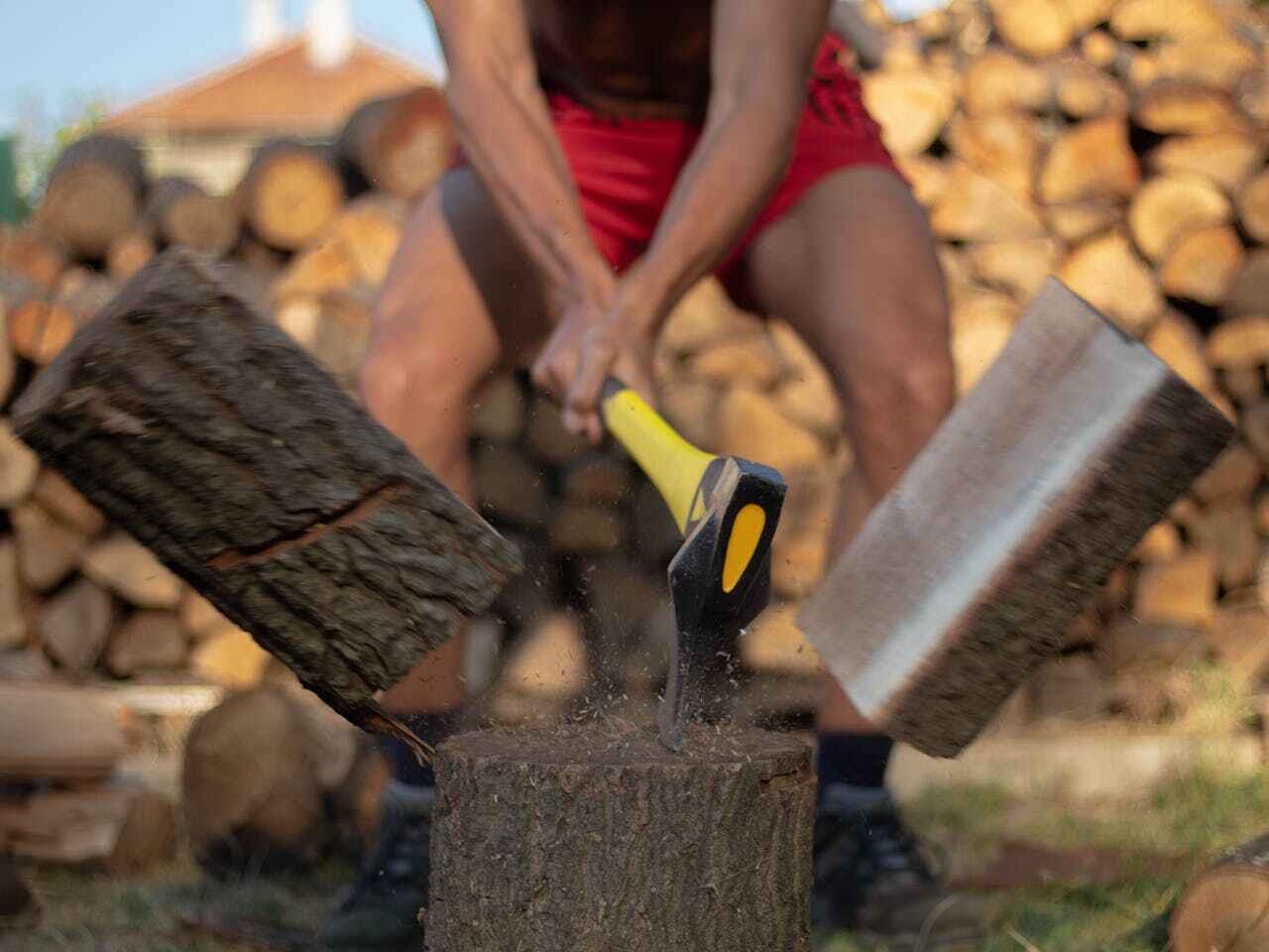 Large Tree Removal in Aspen, CO